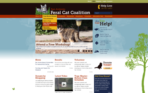 San Antonio Feral Cat Coalition Website Design
