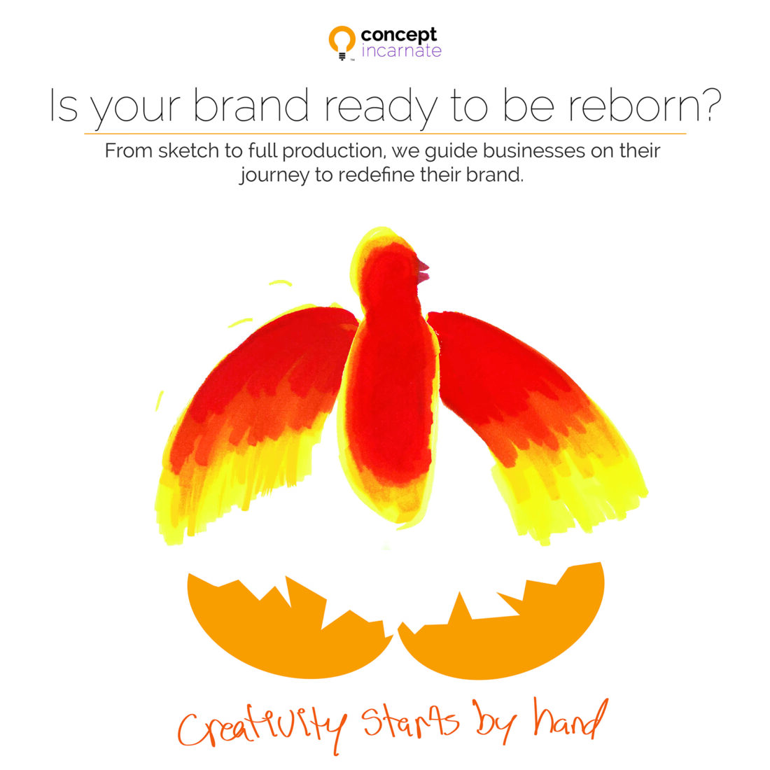 phoenix birth background